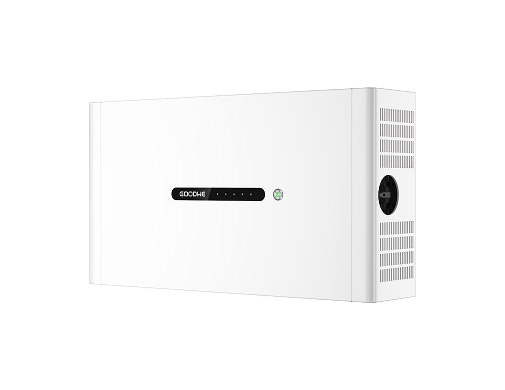 GoodWe Lynx D series Battery module 5KWh