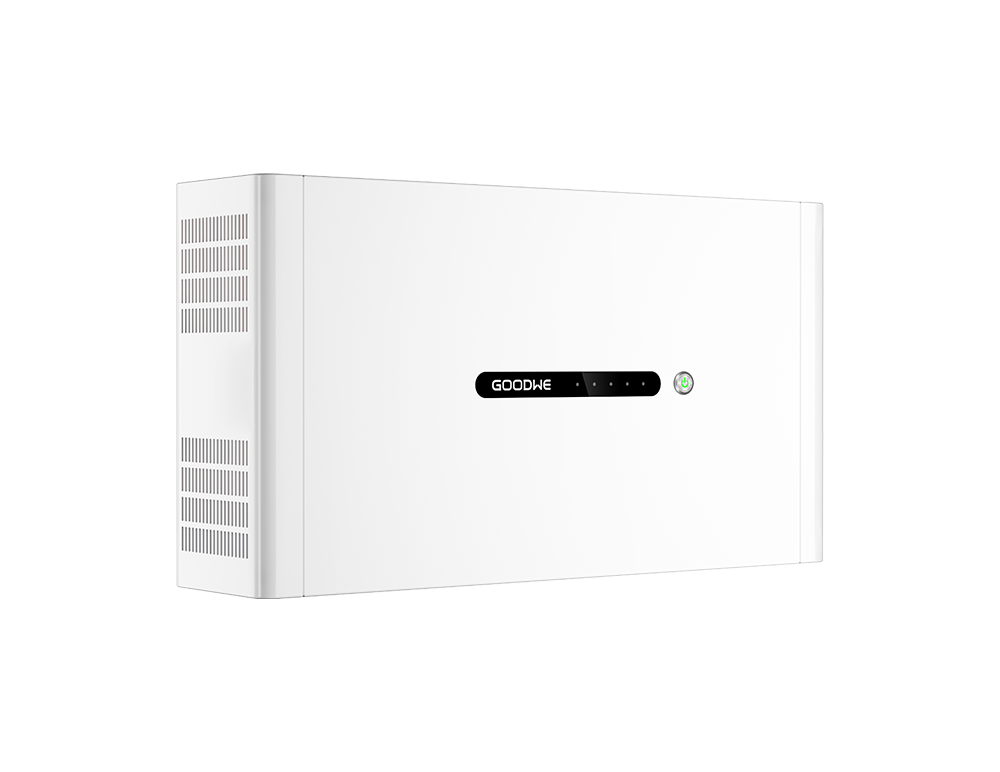 GoodWe Lynx D series Battery module 5KWh