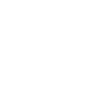feature-item-5